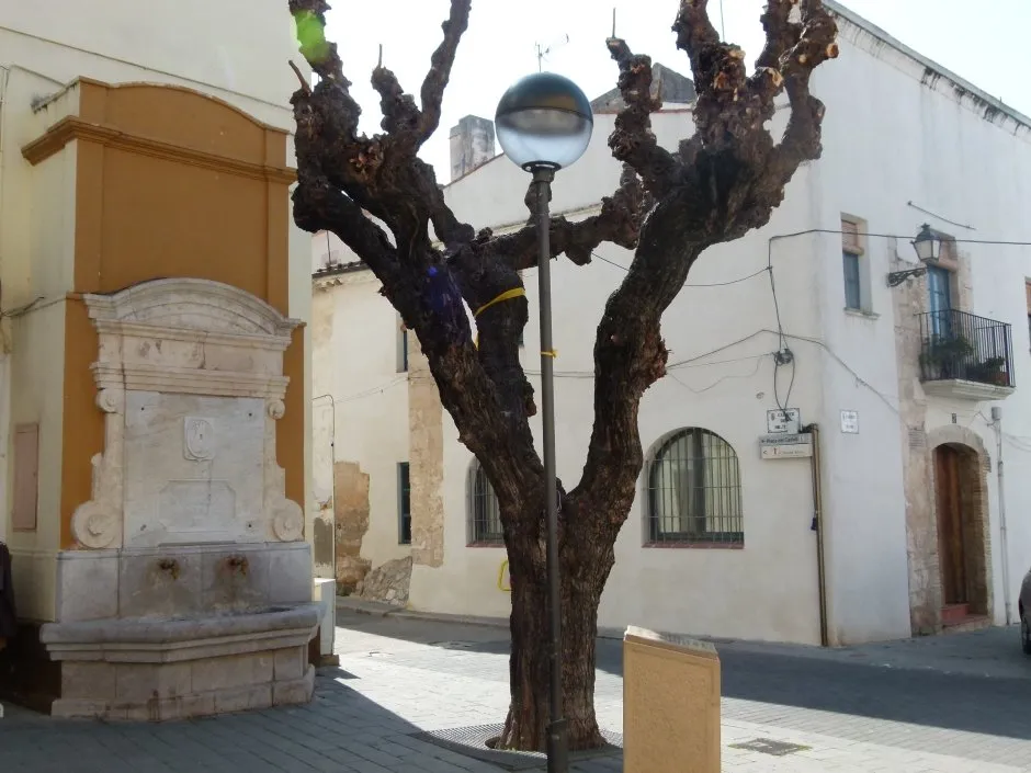 Casco antiguo y carrer Major