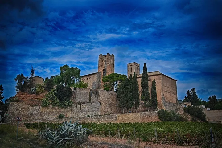 Sant Pere de Ribes castle and church among the vines