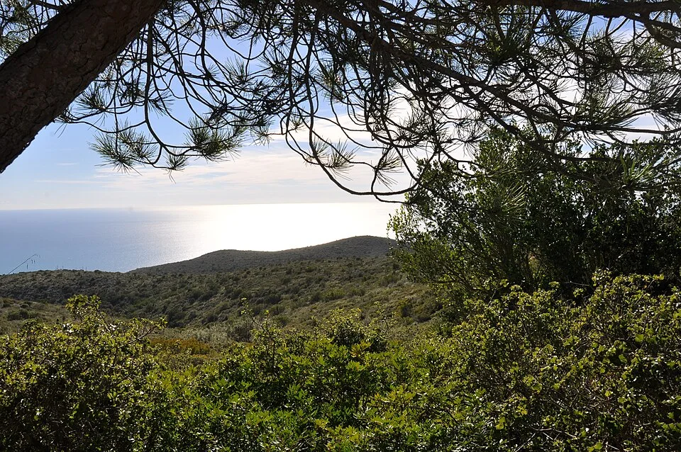 El mar desde las montañas del Garraf, entre pinos y matorral