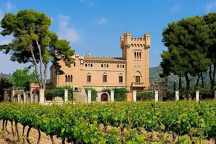 Vinyes i masia a Sant Pere de Ribes