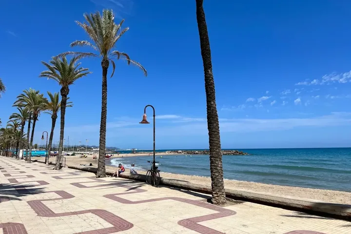 Passeig marítim amb palmeres i platja a Cubelles