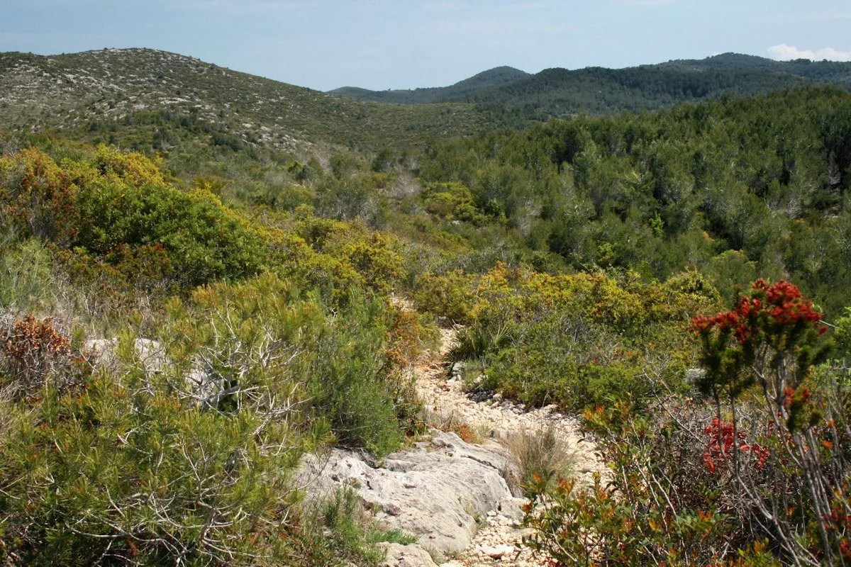 Montañas del Parc Natural del Garraf