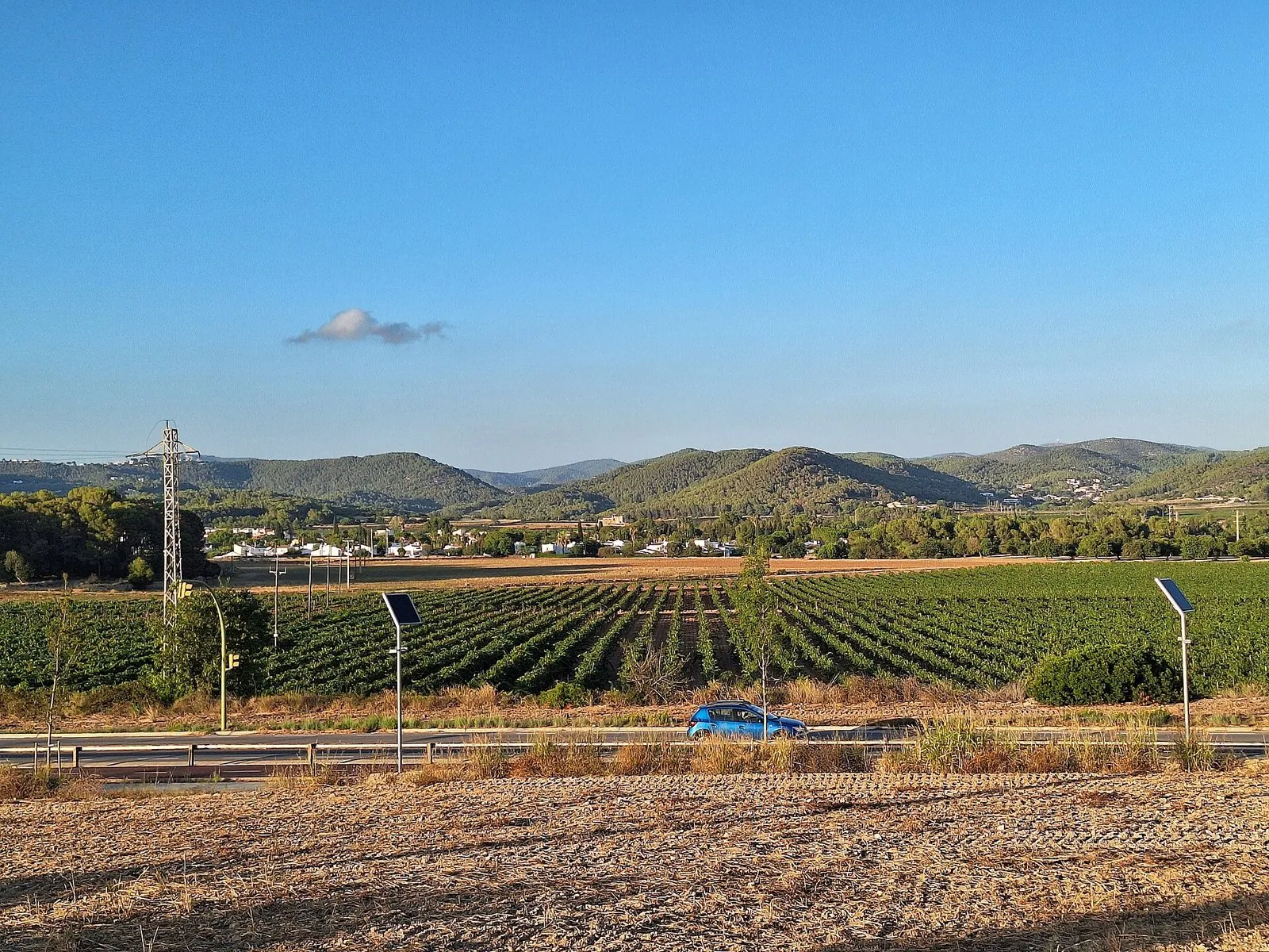 Viñas de Sant Pere de Ribes con el macizo del Garraf al fondo